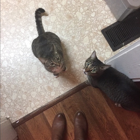 Hello! 👋 - Picture 3 of 6